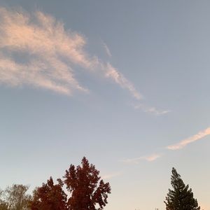 Meet your Posher, Parker